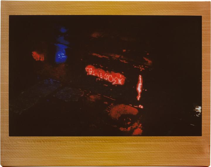 Immagine prodotto Fujifilm Instax Wide 10 Blatt Brushed Metallics (Instax Wide 300, Instax Wide 400)