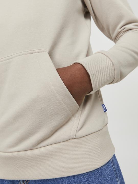 Image du produit Jack & Jones Sweat à capuche garçon (164)
