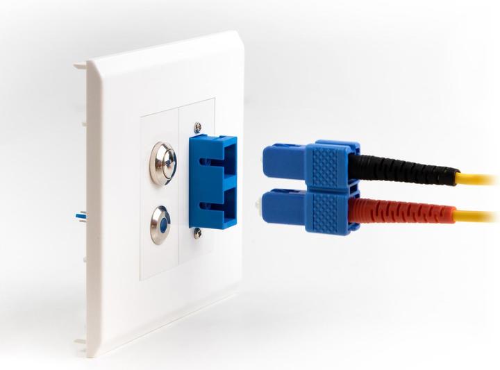 Image du produit Delock Easy 45 Module à encliqueter (0.02 m)