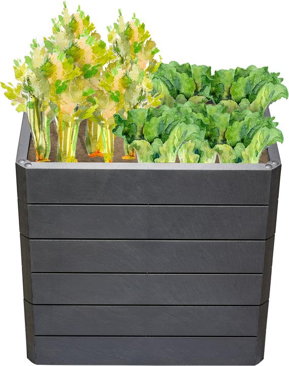 Actual product image Garantia Ergo Quadro M 75