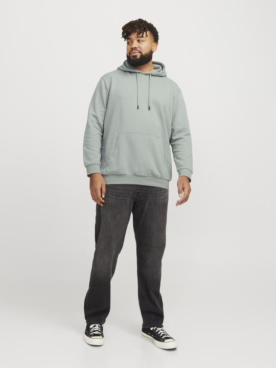 Image du produit Jack & Jones Jjebradley Sweat Hood Noos Pls (3XL)