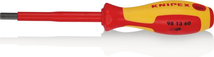 Image du produit Knipex Tournevis pour vis à six pans creux (Clé Allen)
