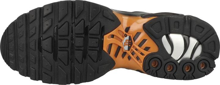 Image du produit Nike Air Max Plus - 63311 (40.5)