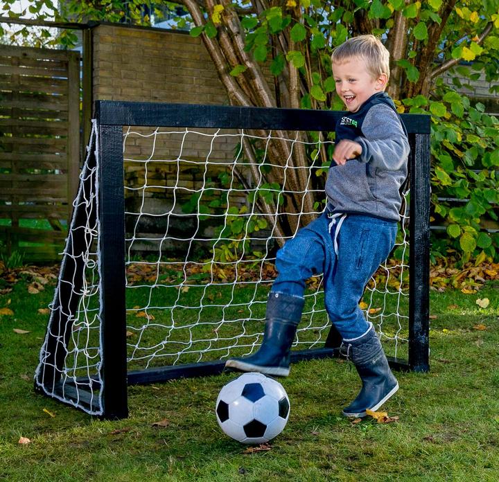 Immagine prodotto Euro Play Homegoal Pro Micro - Ordinamento