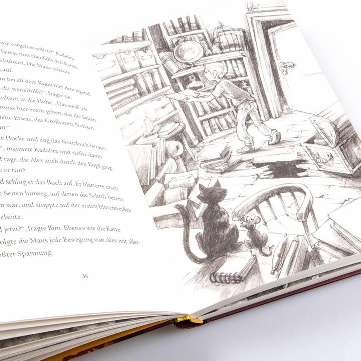 Produktbild Im Zeichen der Zauberkugel 4: Das Geheimnis des Drachen (Deutsch, Stefan Gemmel, 2018)