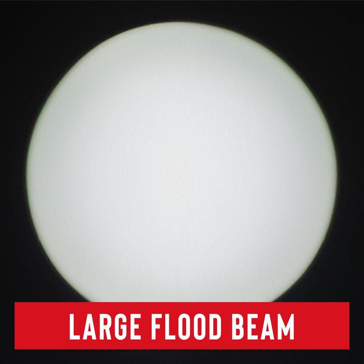Actual product image Coast PS400 POLYSTEEL torch 570 lumens (14.60 cm, 500 lm)
