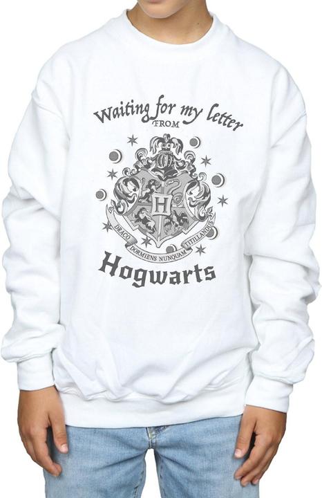 Actual product image Boys Hogwarts Waiting For My Letter Sweatshirt (140, 146)