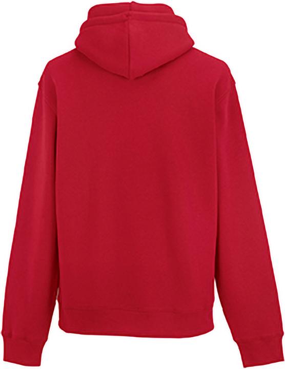 Actual product image Russell Authentic hooded jumper Hooded jumper Hoodie (L)