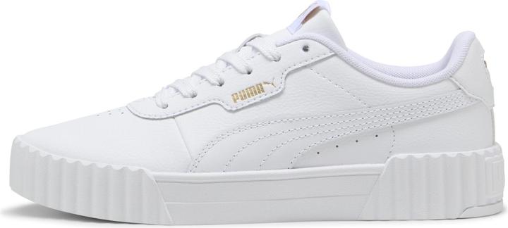 Puma Carina 3.0 (42)