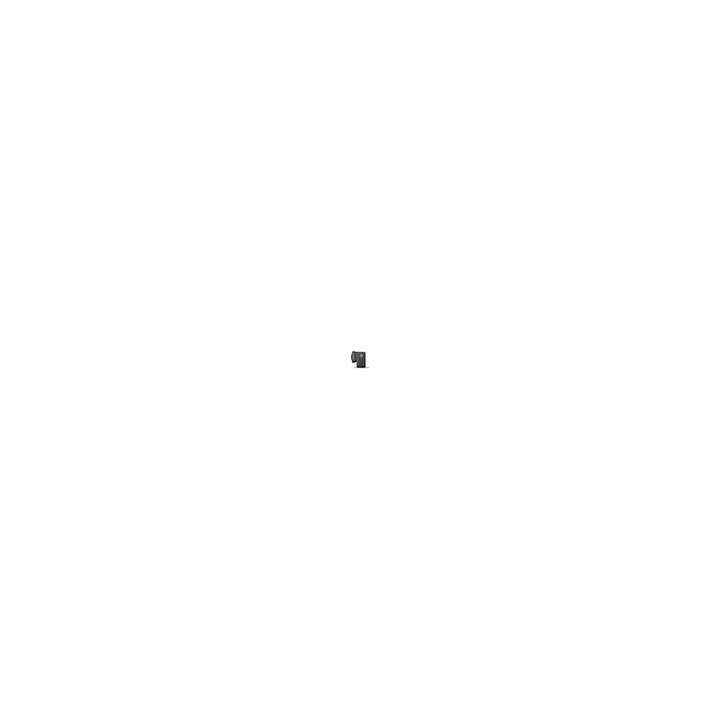 Actual product image GoPro Max Lens Mod (Hero 9)
