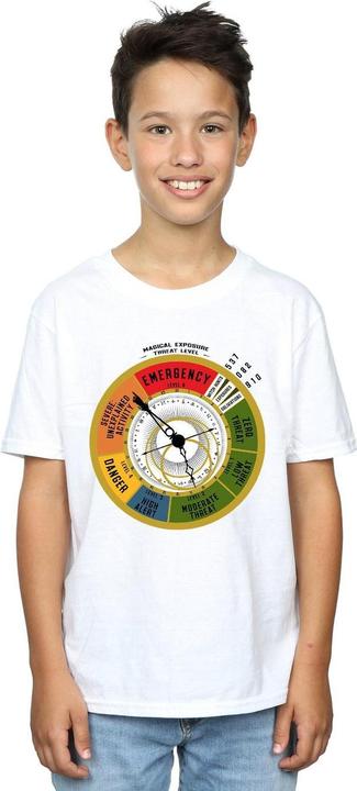 Actual product image Fantastic Beasts Boys Threat Level T-Shirt (152, 158)