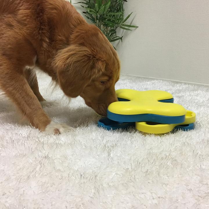 Actual product image Nina Ottosson Dog Tornado (Intelligence toy dog)