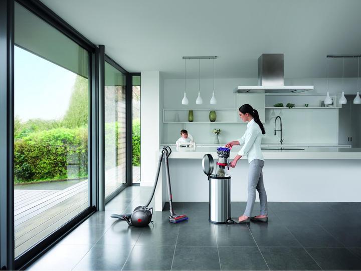 Actual product image Dyson Big Ball Parquet 2
