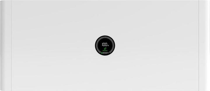 Growatt Leistungsmodul APX 98034-P2 BMS