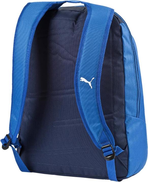 Image du produit Puma Italia evoPower Football