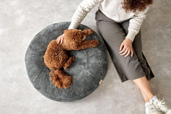 Produktbild Palopa Donut Fippa (Hund)