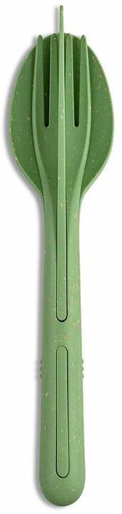 Nature leaf green