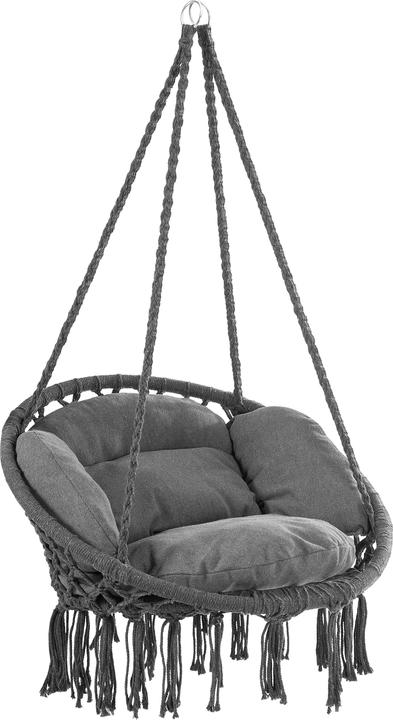 Actual product image Detex Hanging Chair (150 kg)