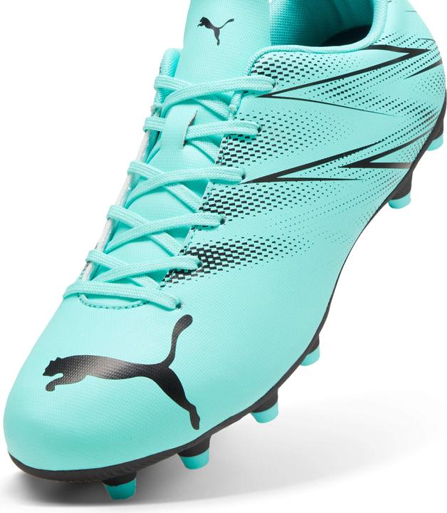 Produktbild Puma Attacanto FG/AG (42)