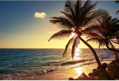CoverYourDesk Palm trees on the beach (40 x 60 cm)