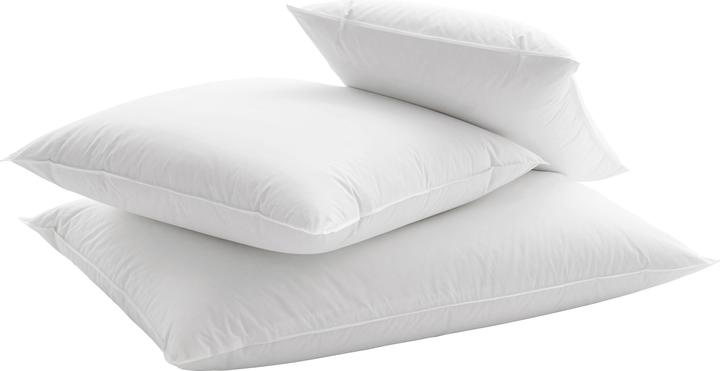 Actual product image Dauny Supersoft (50 x 70 cm)