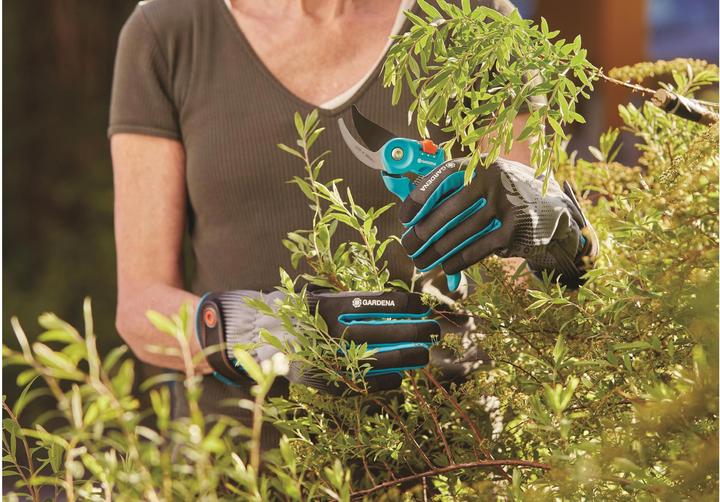 Immagine prodotto Gardena Strauchpflegehandschuh (M)