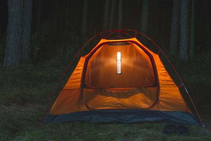 Actual product image Daylight Twist 2 Go (350 lm)