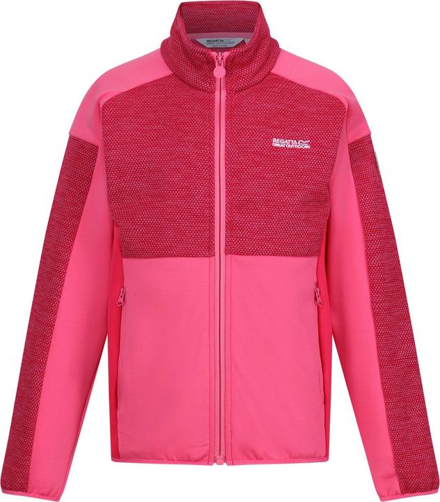 Regatta Highton III Fleecejacke (158)