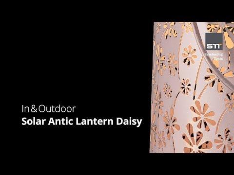 Image du produit STT Daisy