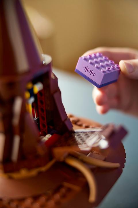 Image du produit LEGO Le chapeau qui parle (76429, LEGO Harry Potter)