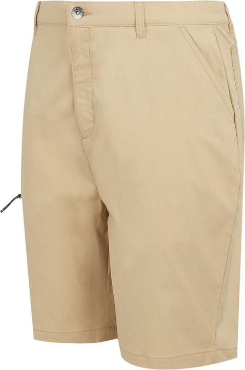 Actual product image Regatta Mens Dalry Multi Pocket Shorts (34)