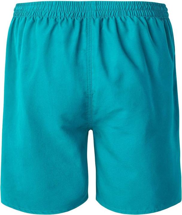 Actual product image Aquawave Mens Aogash Swim Shorts (L)