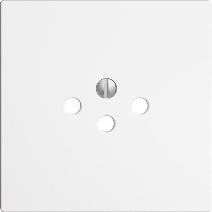 Actual product image Feller Cover plate