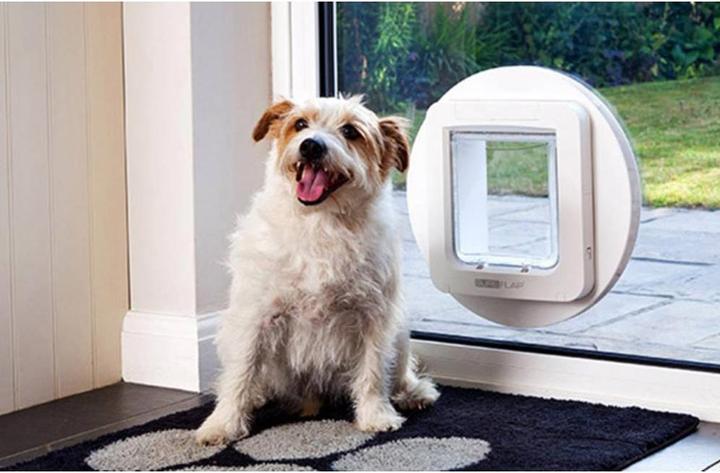 Actual product image SureFlap XXL cat door (Microchip Cat Flap)
