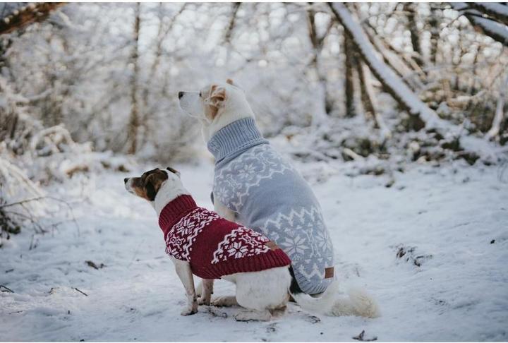Produktbild Hunter Dogcoat Birka 30, red - (203469) (30, Hundepullover)