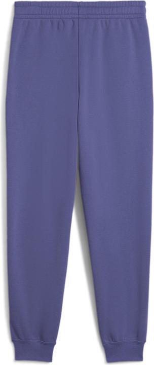 Image du produit Puma ESS 2 COLOR No. 1 Logo Sweatpants FL B (176)