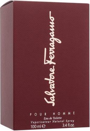 Immagine prodotto Salvatore Ferragamo F (Eau de toilette, 100 ml)