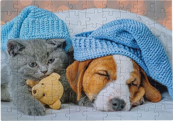 Produktbild Selecta Spielzeug Puzzle Süsses Kätzchen und schläfriger Hund, 100 Teile. (100 Teile)