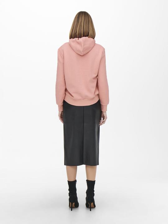 Image du produit Only Hoodie avec logo imprimé (XS)