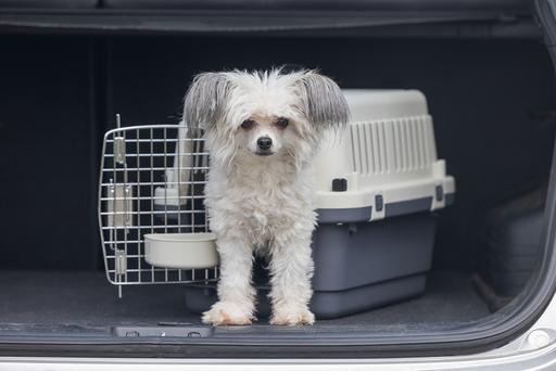 Actual product image Karlie Nomad (Dog, Cat, Lockable)