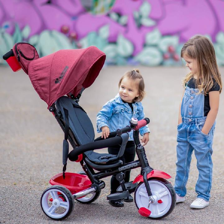 Actual product image Lorelli Tricycle Moovo EVA tires