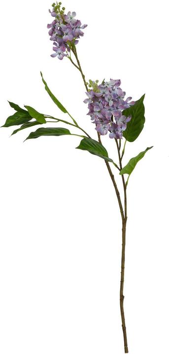 Immagine prodotto Hill Interiors The Natural Garden Collection Lilla Fiore Artificiale (75 cm)