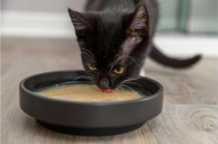 Produktbild Trixie Katzen-Nahrungsergänzung Soup mit Huhn & Lachs 4 x 80 g (Adult, 4 Stk., 320 g)
