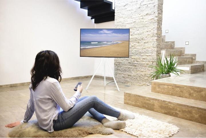 Image du produit Hama Easel Design - Support pour téléviseur - métal - blanc - Taille d'écran : 94-191 cm (75.20", 40 kg)