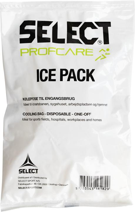 Actual product image Select Ice Pack III (1 x)
