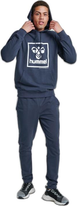Actual product image hummel Isam Hoodie (S)