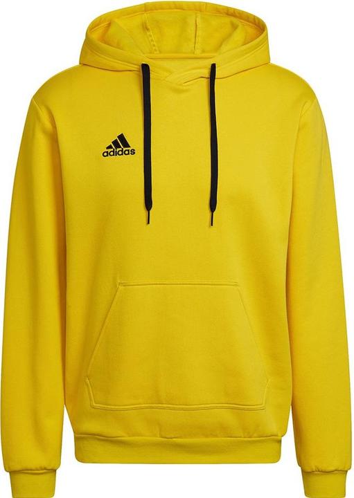 adidas Entrada 22 Kapuzenpullover Herren