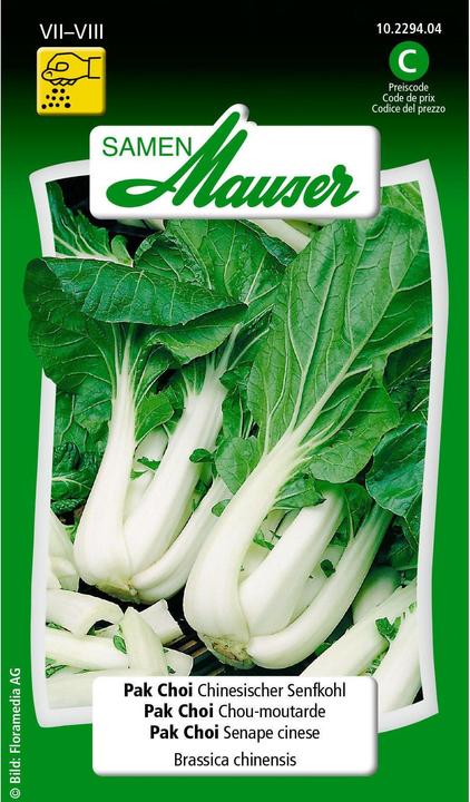 Produktbild Samen Mauser Pak Choi Chinesischer Senfkohl (Gemüsesamen)