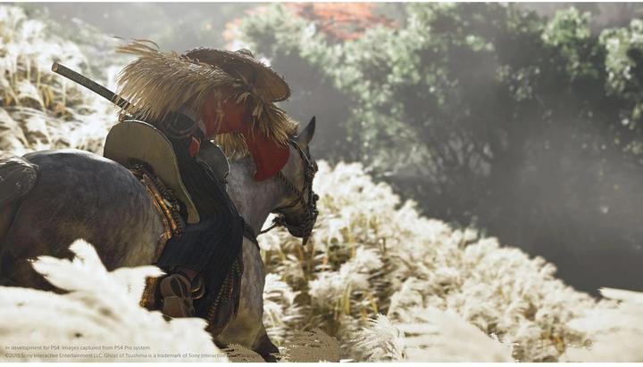 Actual product image Sony Ghost of Tsushima Director's Cut (PS5, Multilingual)