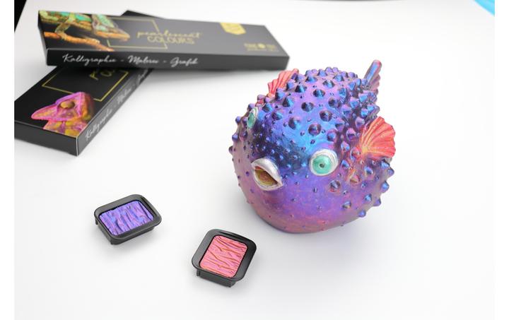 Image du produit Finetec Bascule (Multicolore)